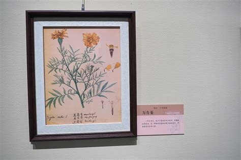 诗经中的女孩灵动名字_诗经中的男孩灵动名字,第12张 诗经中的女孩灵动名字_诗经中的男孩灵动名字,第12张