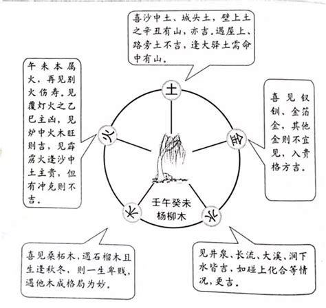 天运五行属木是什么意思_天运五行属木,第6张