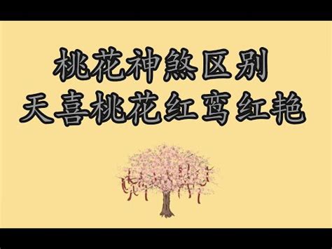 红鸾天喜_红鸾天喜日速查表,第8张