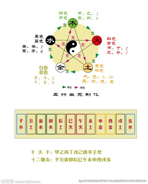 地支五行阴阳_十二地支阴阳五行,第9张