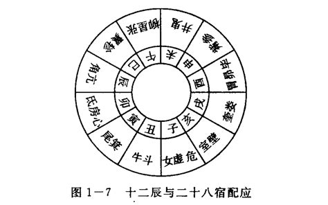 地支五行对照表金木水火土_十二地支对应五行金木水火土,第9张