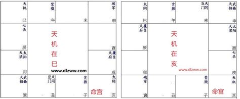 天机星代表什么_天机星入命宫,第16张