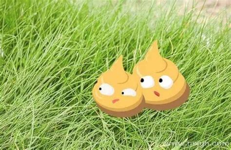 女人梦见屎是什么意思有什么预兆_怀孕梦见屎是什么意思有什么预兆,第5张 女人梦见屎是什么意思有什么预兆_怀孕梦见屎是什么意思有什么预兆,第5张