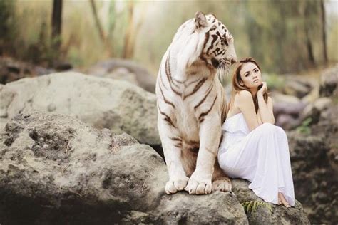 女人梦见老虎旺三年是真的吗_已婚女人梦见老虎旺三年,第4张 女人梦见老虎旺三年是真的吗_已婚女人梦见老虎旺三年,第4张