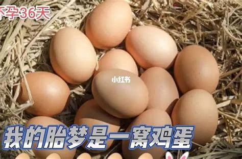 已婚女人梦见捡鸡蛋是什么意思_孕妇梦见捡鸡蛋是什么意思,第9张 已婚女人梦见捡鸡蛋是什么意思_孕妇梦见捡鸡蛋是什么意思,第9张