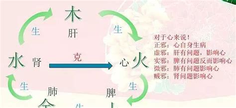 五脏与五行的关系_五脏与五行的对应关系,第3张 五脏与五行的关系_五脏与五行的对应关系,第3张