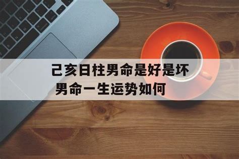 己亥日柱男命配偶_己亥日柱男命详解,第10张