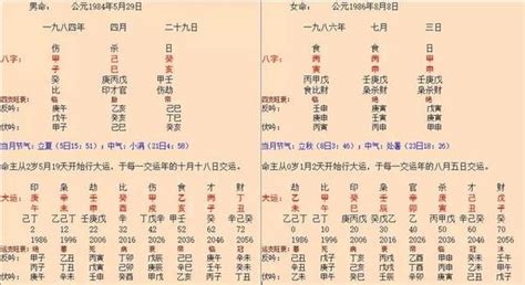 己巳日柱是上等日柱吗_己巳日柱生于各月精论,第13张