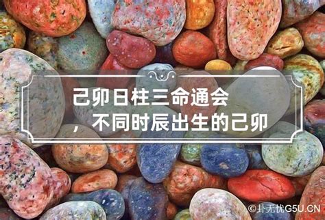 己未日柱是上等日柱吗_己未日柱生于各月精论,第3张