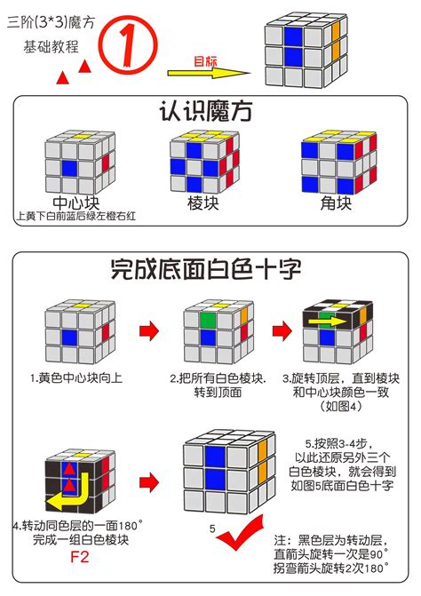 十天干十二地支对应人体部位_十天干十二地支怎么算年份,第13张 十天干十二地支对应人体部位_十天干十二地支怎么算年份,第13张