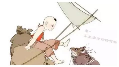 贪狼星入财帛宫_贪狼星入田宅宫,第11张 贪狼星入财帛宫_贪狼星入田宅宫,第11张