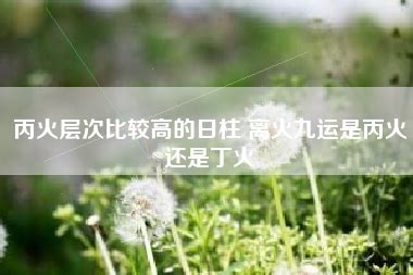 丙辰日柱是上等日柱吗_丙辰日柱生于各月精论,第3张