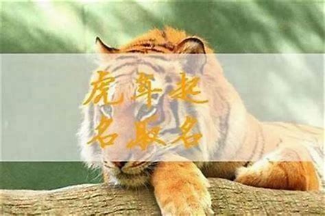 水虎宝宝取名字应注意什么_9月水虎宝宝取名字应注意什么,第9张 水虎宝宝取名字应注意什么_9月水虎宝宝取名字应注意什么,第9张