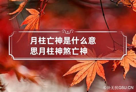 四柱年月日时断命口诀_年月日时四柱推算法,第54张