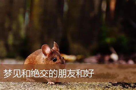 梦见死去的朋友是什么征兆哦_梦见死去的朋友是什么意思?,第4张 梦见死去的朋友是什么征兆哦_梦见死去的朋友是什么意思?,第4张