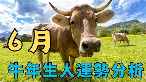 破月是什么意思_破月出生的人会怎样,第6张 破月是什么意思_破月出生的人会怎样,第6张