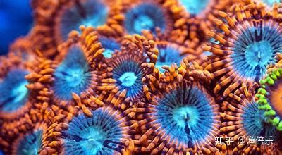 五行属金的字大全及解释_五行属金的字及含义,第6张 五行属金的字大全及解释_五行属金的字及含义,第6张