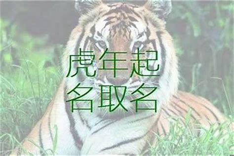 属虎起名忌讳的50个字_2022属虎起名忌讳的50个字,第8张