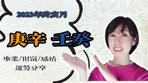 癸亥日柱2023年癸卯年运势_癸亥日柱走什么大运好,第8张