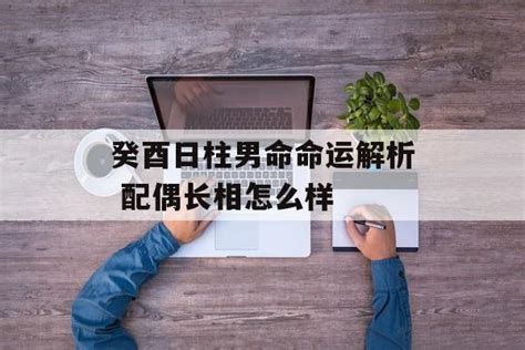 癸酉日柱男命配偶_癸酉日柱男命详解,第4张