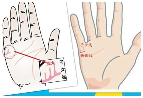 命中有几个孩子查询表_命中有几个孩子都是注定的吗,第6张 命中有几个孩子查询表_命中有几个孩子都是注定的吗,第6张