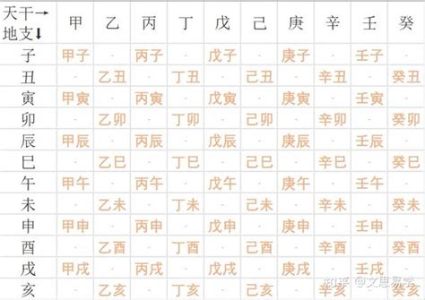 十天干十二地支对应人体部位_十天干十二地支怎么算年份,第9张 十天干十二地支对应人体部位_十天干十二地支怎么算年份,第9张