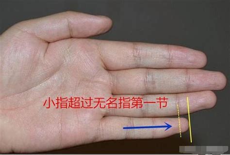 命中有几个孩子查询表_命中有几个孩子都是注定的吗,第7张 命中有几个孩子查询表_命中有几个孩子都是注定的吗,第7张