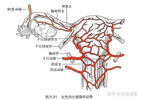 正版观音灵签100签_正版观音灵签100签解,第56张 正版观音灵签100签_正版观音灵签100签解,第56张