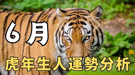 破月是什么意思_破月出生的人会怎样,第7张 破月是什么意思_破月出生的人会怎样,第7张