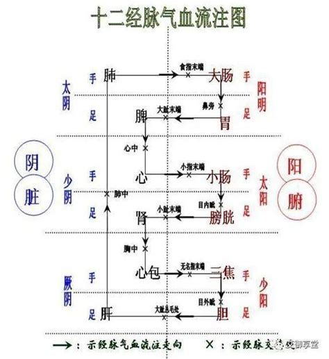 夫妻相生是什么意思_官印相生是什么意思,第6张