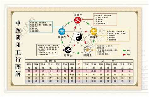 金生水水生木木生火_金生水的最合理解释,第3张