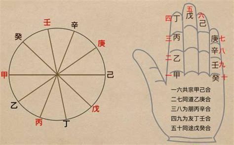 地支五行阴阳_十二地支阴阳五行,第4张