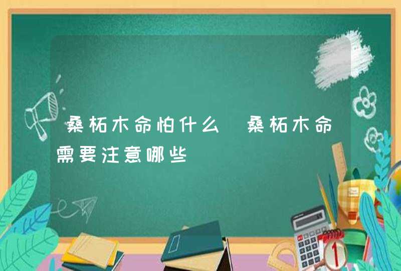 桑柘木命怕什么_桑柘木命需要注意哪些,第1张