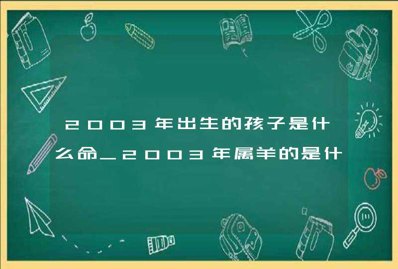 2003年出生的孩子是什么命_2003年属羊的是什么命,第1张