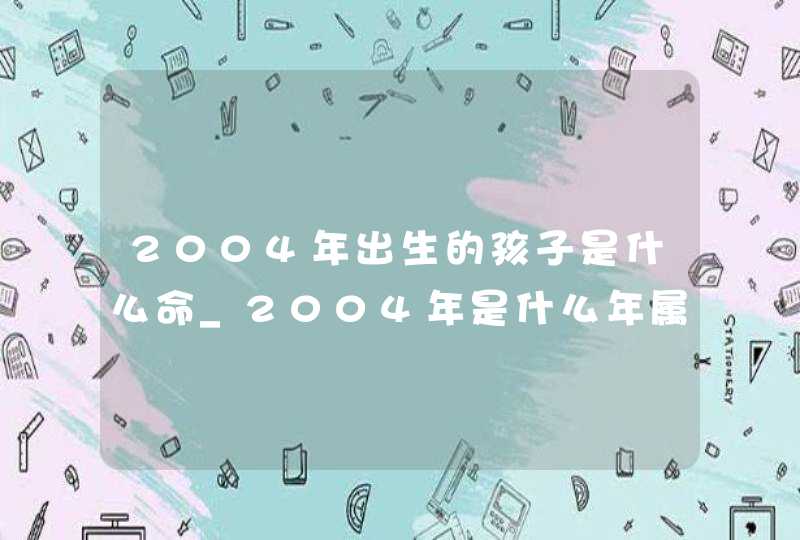 2004年出生的孩子是什么命_2004年是什么年属猴是什么命,第1张