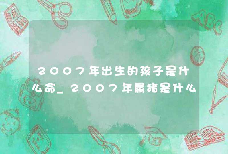 2007年出生的孩子是什么命_2007年属猪是什么命,第1张