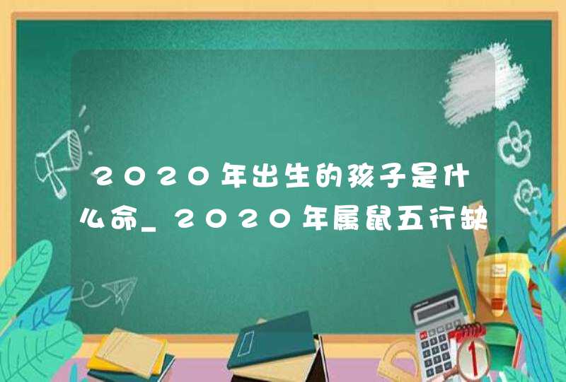 2020年出生的孩子是什么命_2020年属鼠五行缺什么,第1张